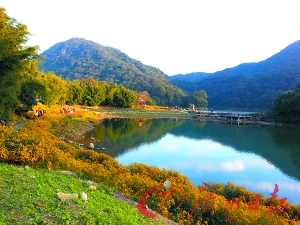 初冬的石門森林公園色彩絢爛。