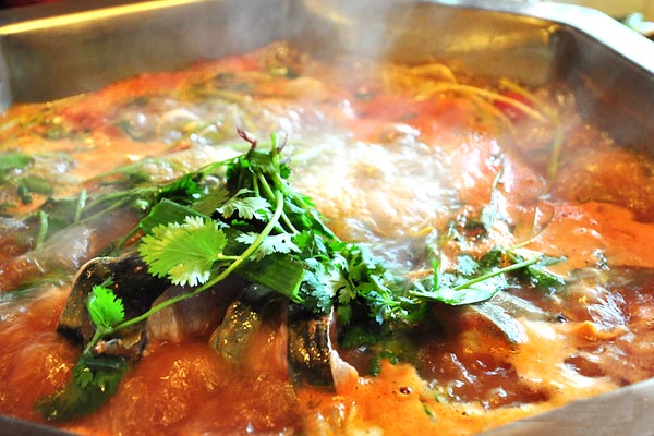 爽爽貴陽吸引吃貨小分隊(duì) 爽爽貴陽吸引吃貨小分隊(duì)