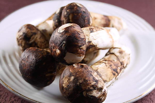 不時不吃滋補松茸宴 秋季進補佳品 不時不吃滋補松茸宴 秋季進補佳品