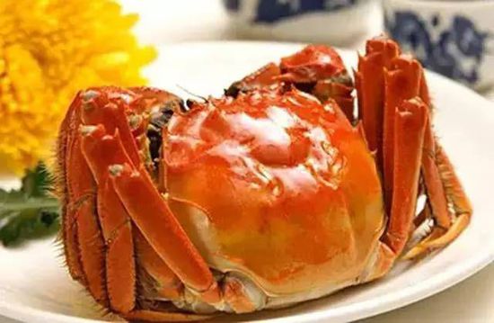 秋季最適合吃的海鮮是這10種 你吃對了嗎？