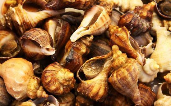 秋季最適合吃的海鮮是這10種 你吃對了嗎？