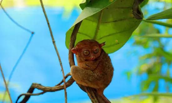 適合在冬天旅游的十個(gè)絕美海島！