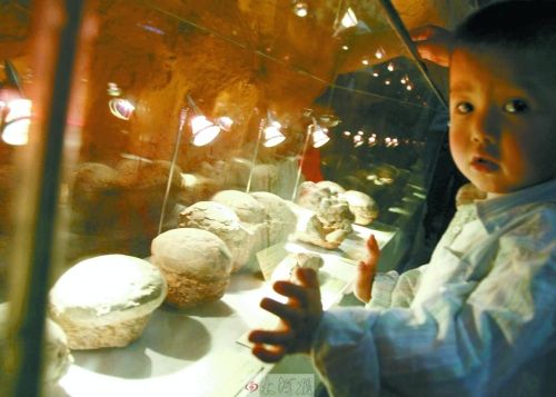 恐龍蛋，這回見識了吧！