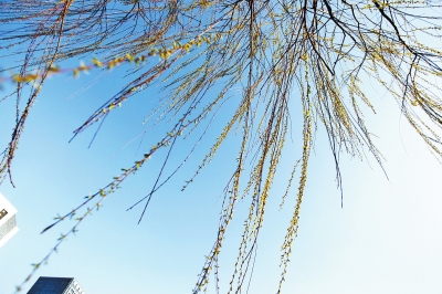 本周末鄭州晴天為主 最高溫度可達(dá)23℃ 本周末鄭州晴天為主 最高溫度可達(dá)23℃