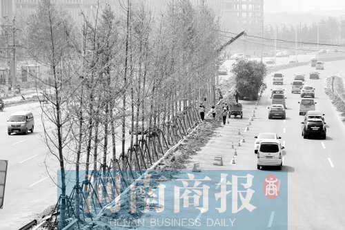 　西三環(huán)化工路，工人正在車(chē)道中間種植銀杏樹(shù)