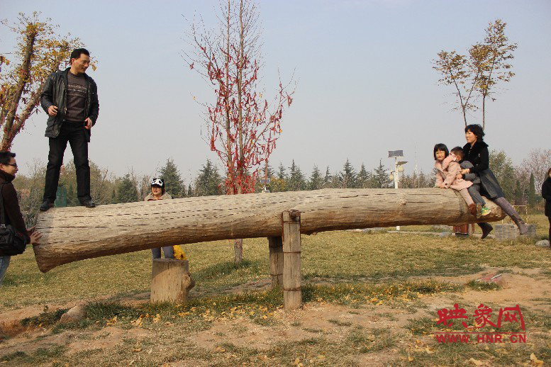 巨大的蹺蹺板，一棵樹(shù)。。?？赐娴亩噜? oldsrc=