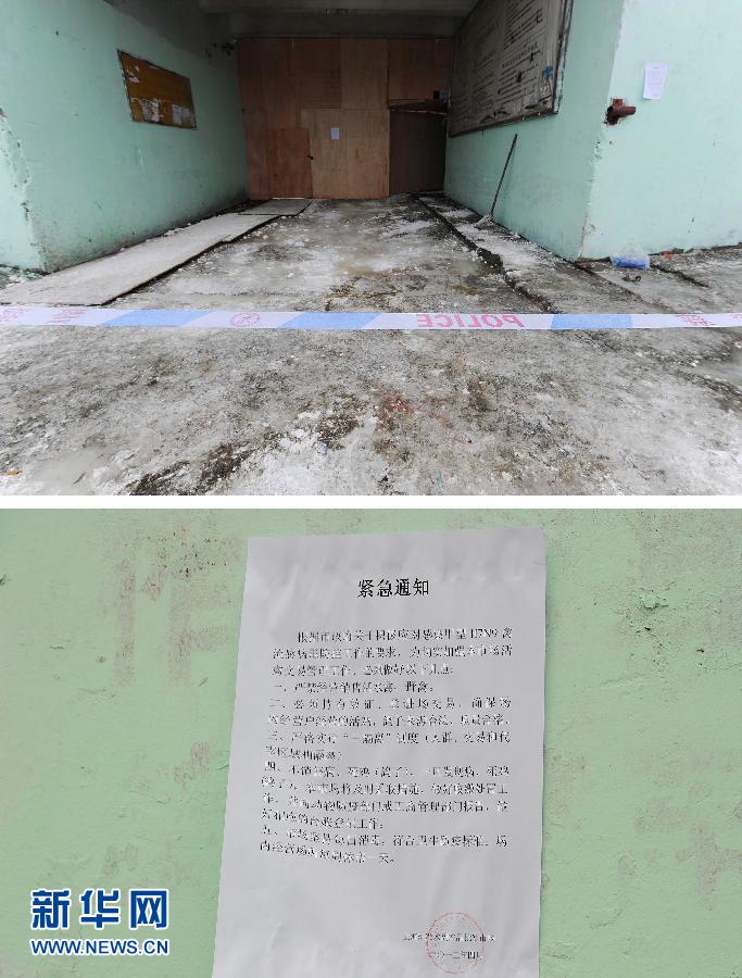 上海6日起暫?；钋萁灰?關(guān)閉所有活禽交易市場