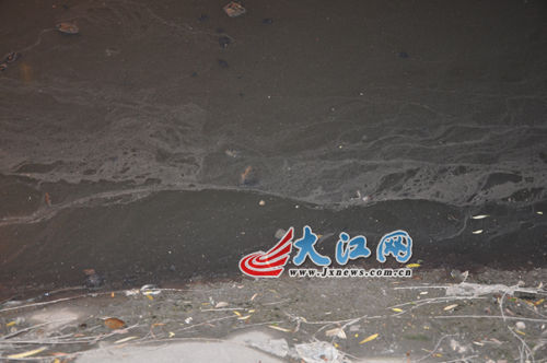 19日晚上的玉帶河，紅色河水變回灰綠色。