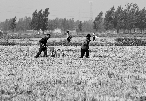 今后，農(nóng)民的土地承包經(jīng)營權(quán)將可以進(jìn)行抵押融資。