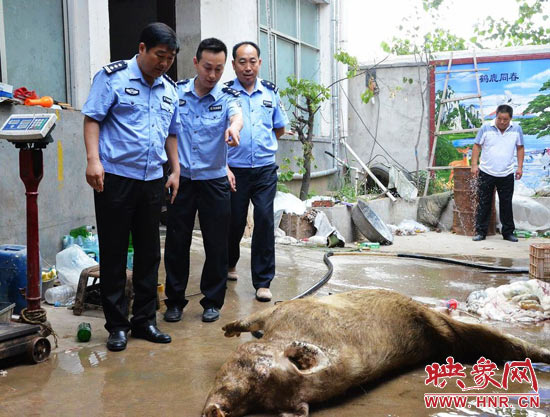 西平警方保衛(wèi)餐桌安全開展地毯式大排查大行動 西平警方保衛(wèi)餐桌安全開展地毯式大排查大行動