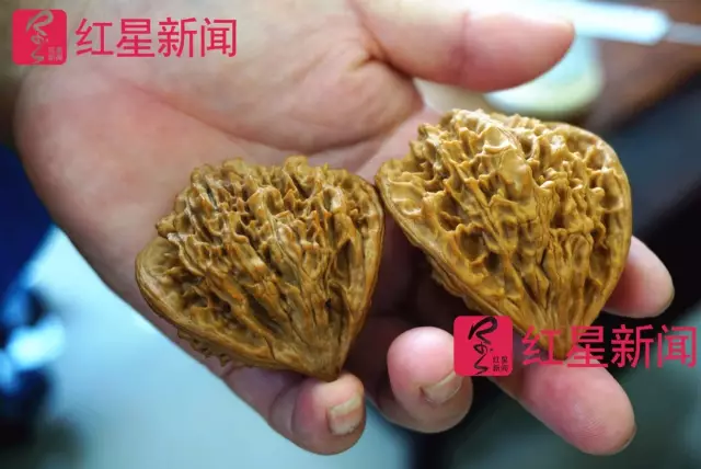 文玩核桃遇冷由幾萬一對降到5元沒人要？商戶否認