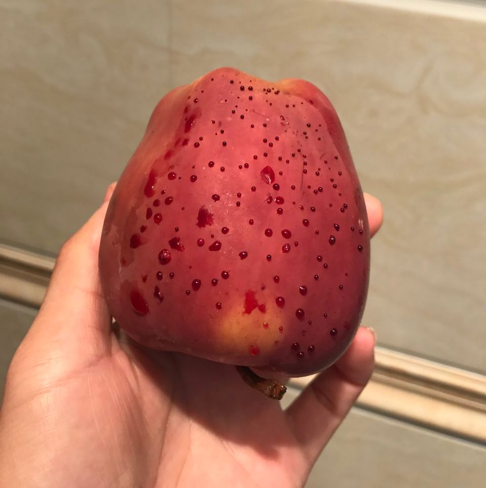 嚇懵！女子用熱水泡蘋(píng)果結(jié)果冒出血珠 咋回事？