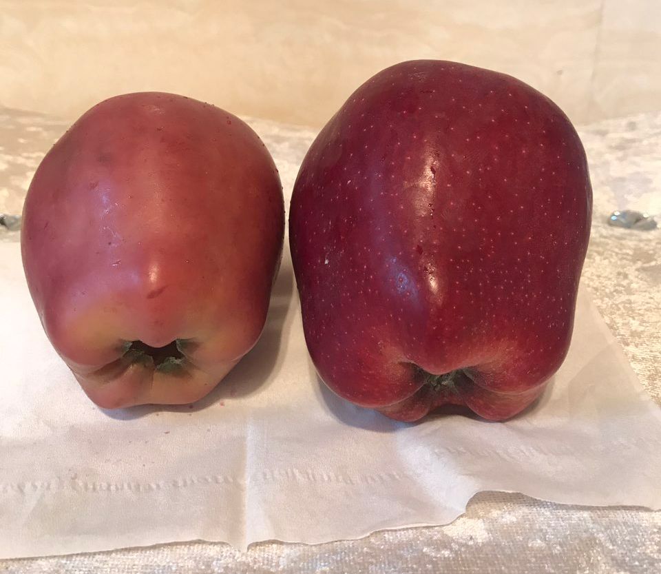 嚇懵！女子用熱水泡蘋(píng)果結(jié)果冒出血珠 咋回事？