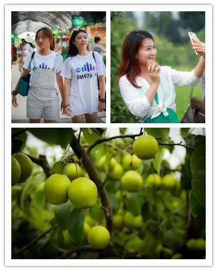 美女與香梨，你更愛哪一個(gè)？！