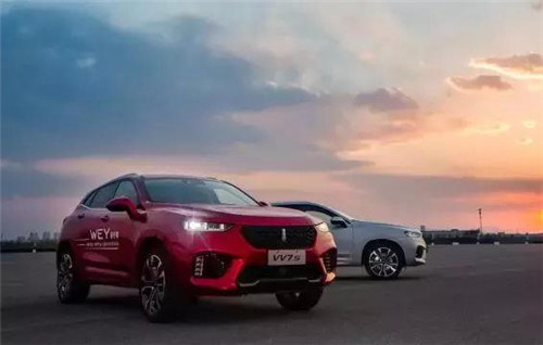 去年“蹦”出來的新汽車品牌們，現(xiàn)在活得怎么樣了？