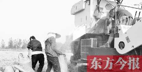 李正厚的妻子鮑本華（右）和一位村民拎著麻袋來到收割機(jī)前，接住傾倒出來的麥粒