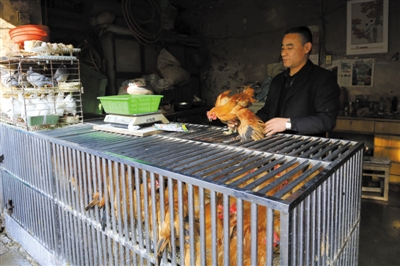 南京另一家農貿市場內待售的活雞。因南京出現H7N9禽流病例，買活雞的顧客減少。