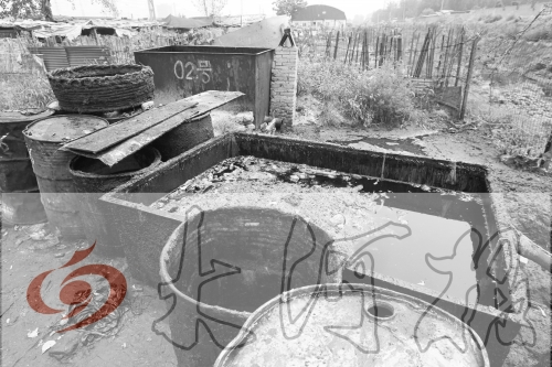 　　骯臟、令人作嘔的油桶凌亂地擺放在院子里，為了避免視覺刺激，我們把它做成了黑白圖片。