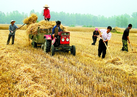 6月1日，舞鋼市礦建街道張我莊村幫扶隊員在幫村民收秸稈。