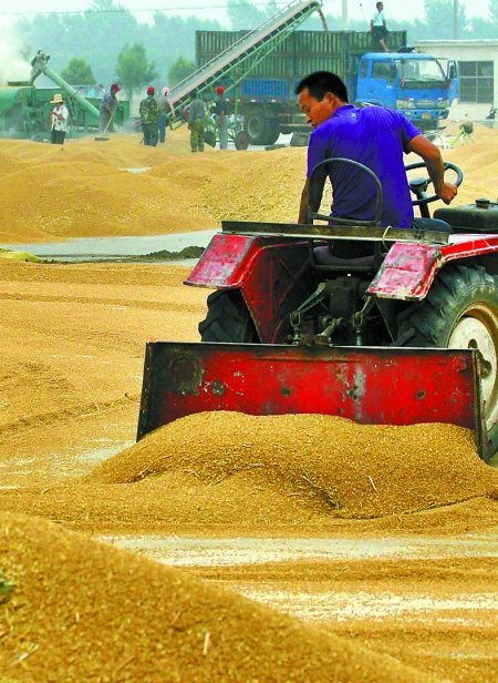 精心晾曬，散倉入庫。