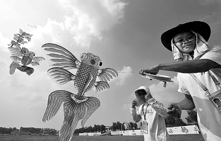 7月30日，第七屆全國農運會首項賽事——風箏比賽在南召縣開賽