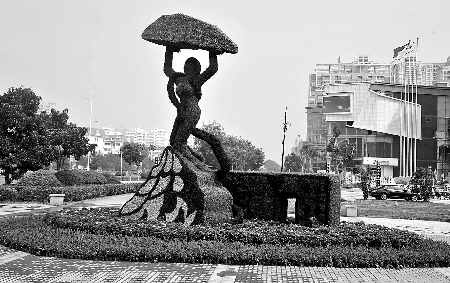 8月28日，南陽街頭繁花似錦，市民宛若行走在花海之中。