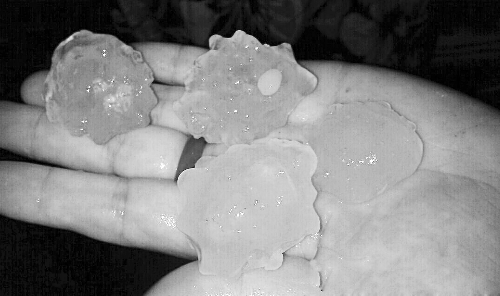 昨天凌晨，三門峽下起了冰雹，最大直徑近1厘米 微博截圖