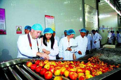 三門峽蘋(píng)果拿到加拿大市場(chǎng)“通行證”