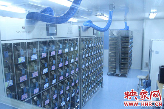 “鼠村”里每一個(gè)籠子是一家。“村”里住著1萬只左右的小鼠