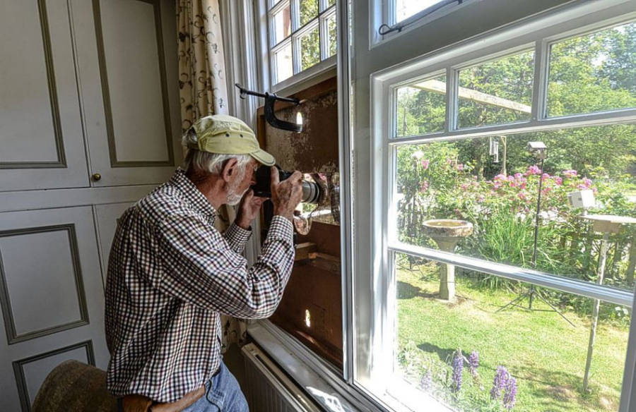 老人自制相機拍小鳥“梳洗”照 老人自制相機拍小鳥“梳洗”照