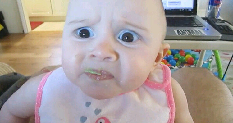 外國寶寶初嘗鱷梨表情萌翻網(wǎng)友 外國寶寶初嘗鱷梨表情萌翻網(wǎng)友