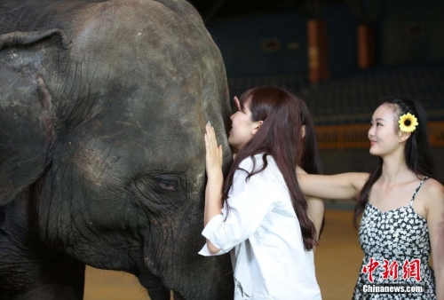 學(xué)生參加?；ㄐ２荽筚?穿比基尼秀身材