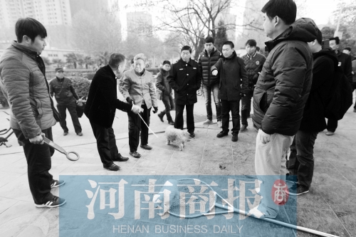 一只辦過(guò)狗證的小白狗，因?yàn)闆](méi)有拴犬鏈，被執(zhí)法人員暫扣