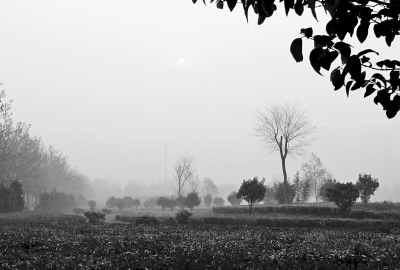 3月26日上午8點(diǎn),鄭大新校區(qū),濃濃的霧霾埋沒了大好春景。