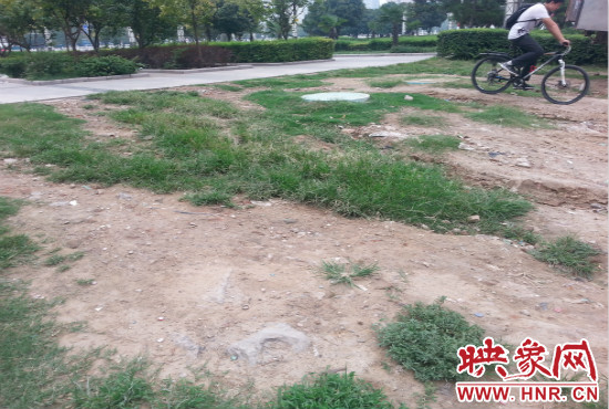 公園內(nèi)大片草坪遭到破壞。