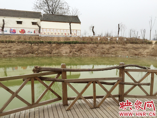 護(hù)欄損毀的地方，已經(jīng)被兩根樹(shù)干擋住。