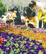 近距離才能拍得更真切。