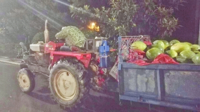 瓜農(nóng)趴在拖拉機(jī)上沉睡 許占源供圖 瓜農(nóng)趴在拖拉機(jī)上沉睡 許占源供圖