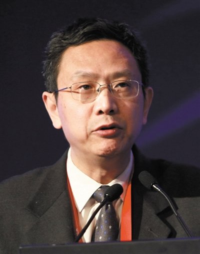 財(cái)政部財(cái)政科學(xué)研究所所長(zhǎng)賈康。圖/CFP