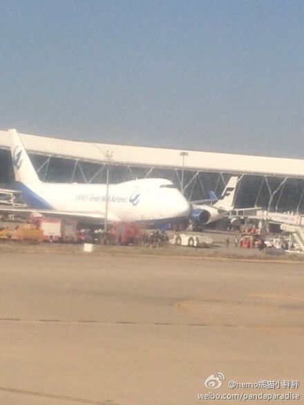 圖說：發(fā)生事故的飛機。圖片來源：新浪微博網(wǎng)友圖（請私信“新民晚報新民網(wǎng)”以奉稿酬）