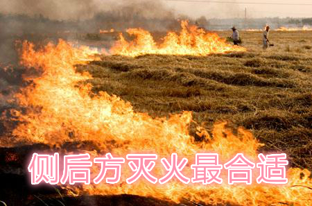 不要在風(fēng)頭上打火：風(fēng)正大，火正旺，最容易傷人；