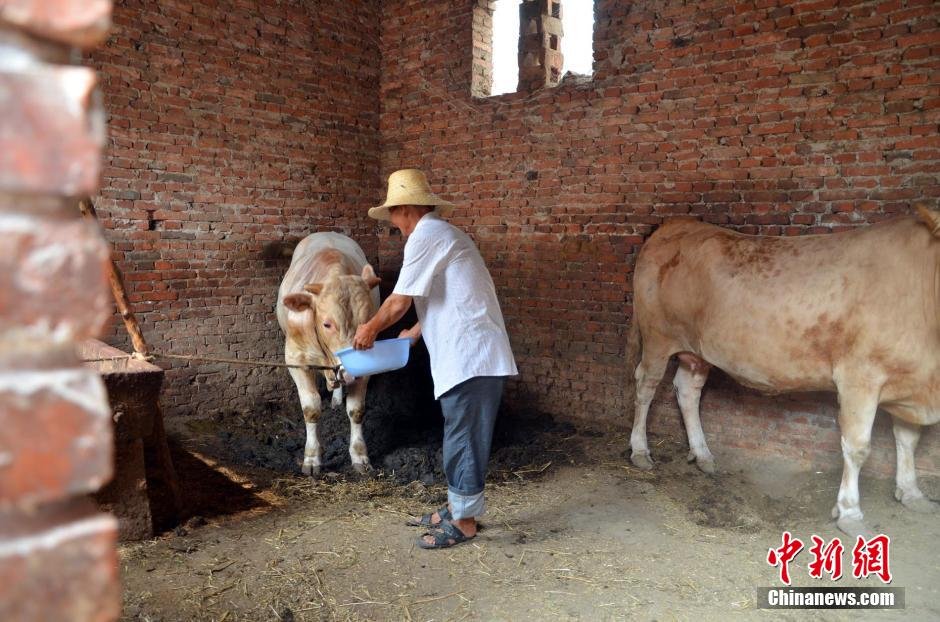 同時(shí)，地下水位的持續(xù)下降以及部分山泉水的干涸，已造成全縣2.85萬人和2000頭大牲畜出現(xiàn)飲水困難。