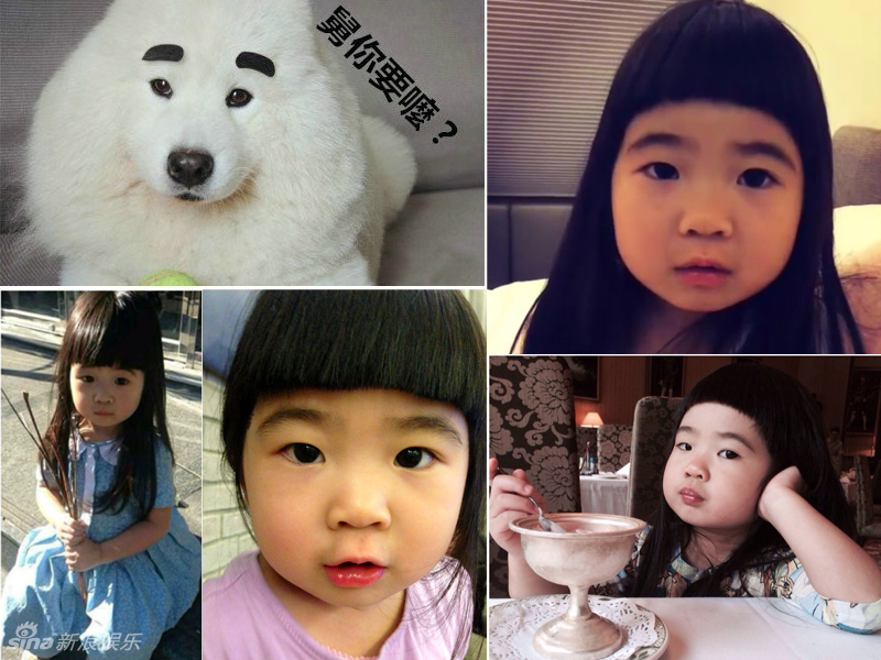 不小心就撞臉了！盤(pán)點(diǎn)動(dòng)物界的明星相