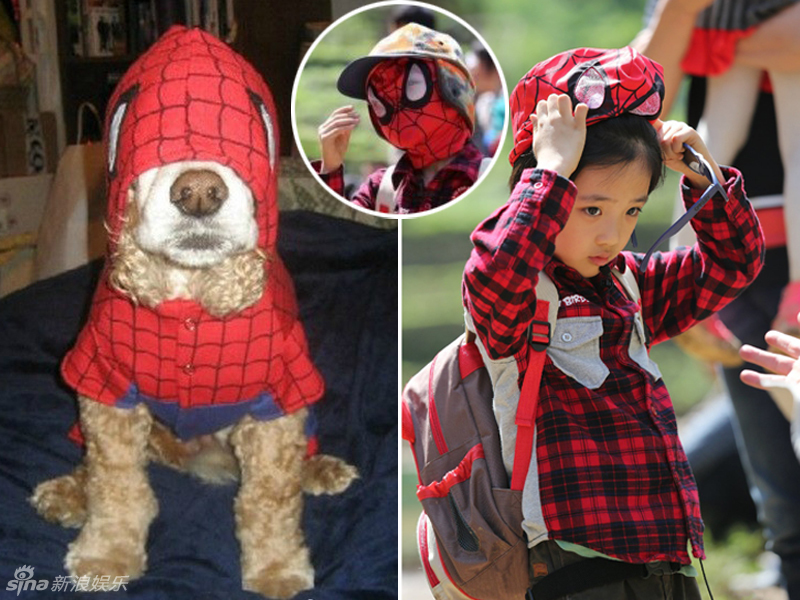 不小心就撞臉了！盤(pán)點(diǎn)動(dòng)物界的明星相