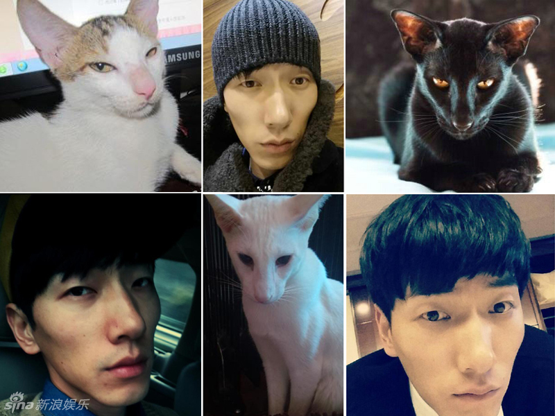 不小心就撞臉了！盤(pán)點(diǎn)動(dòng)物界的明星相