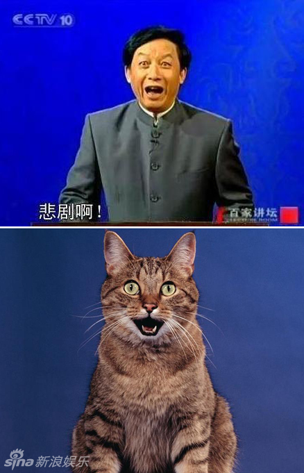 不小心就撞臉了！盤(pán)點(diǎn)動(dòng)物界的明星相