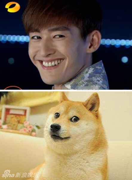 不小心就撞臉了！盤(pán)點(diǎn)動(dòng)物界的明星相