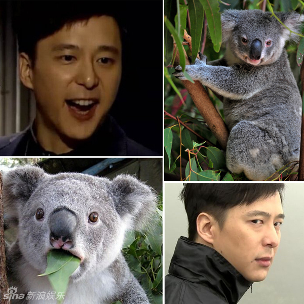 不小心就撞臉了！盤(pán)點(diǎn)動(dòng)物界的明星相