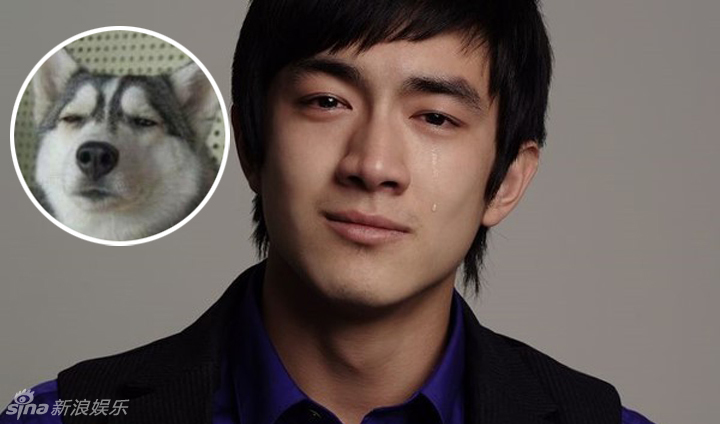 不小心就撞臉了！盤(pán)點(diǎn)動(dòng)物界的明星相