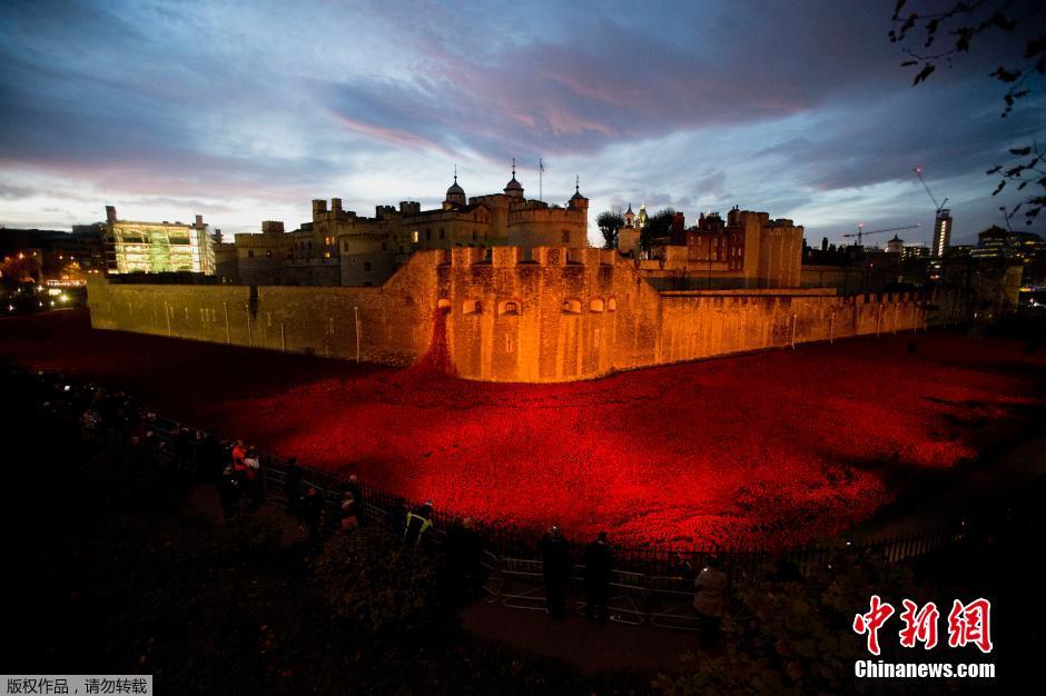 當(dāng)?shù)貢r(shí)間2014年11月10日，英國(guó)倫敦，倫敦塔周邊“種植”了888246朵陶瓷材質(zhì)的罌粟花，以此紀(jì)